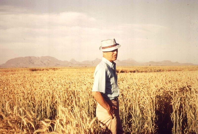Normal Borlaug